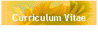 Curriculum Vitae